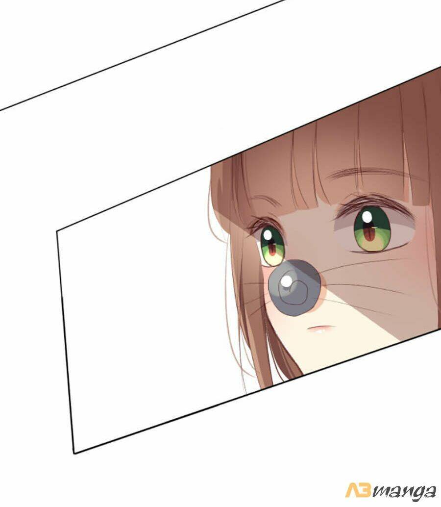 page_26.jpg
