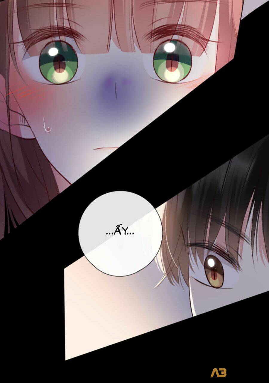 page_26.jpg