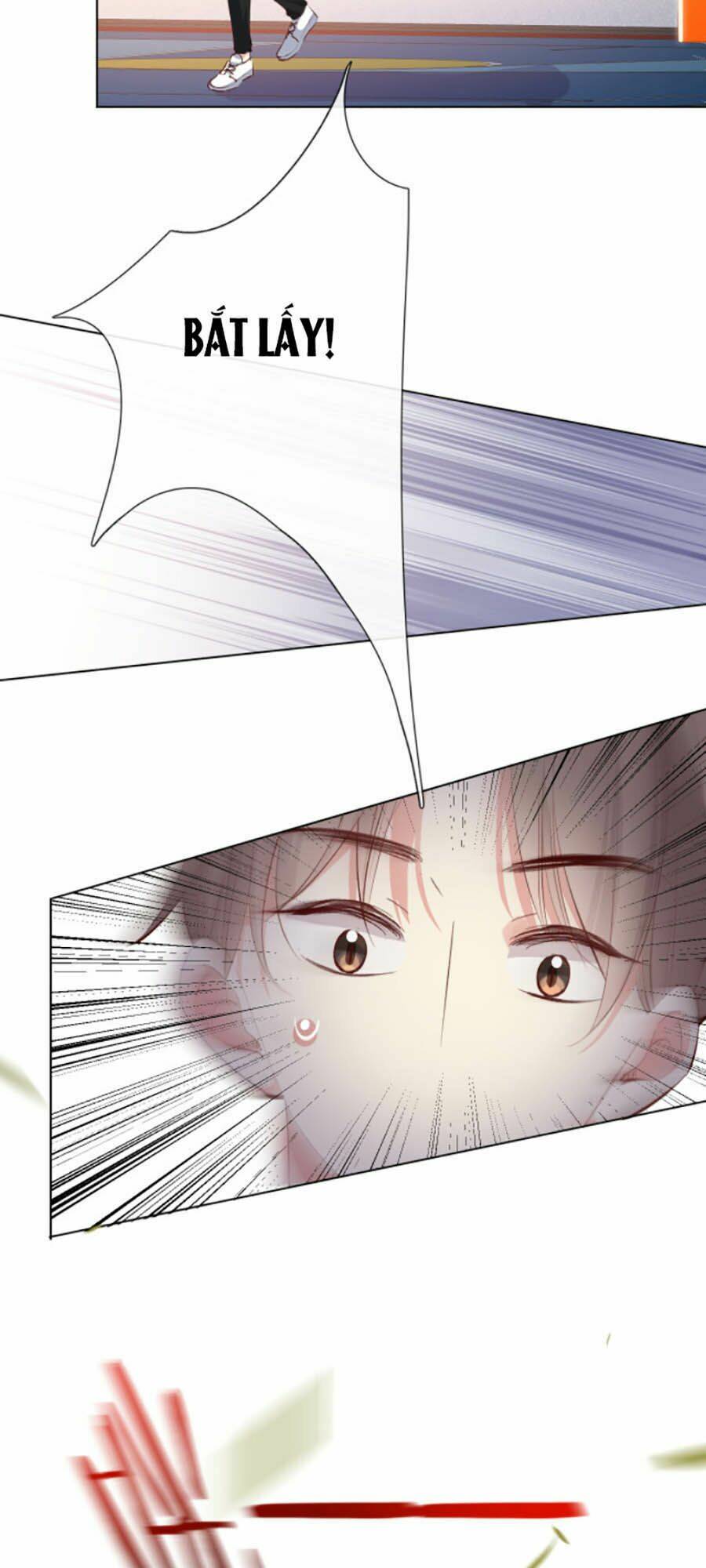 page_21.jpg