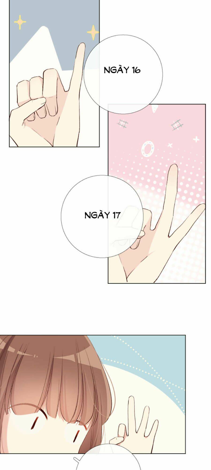 page_21.jpg