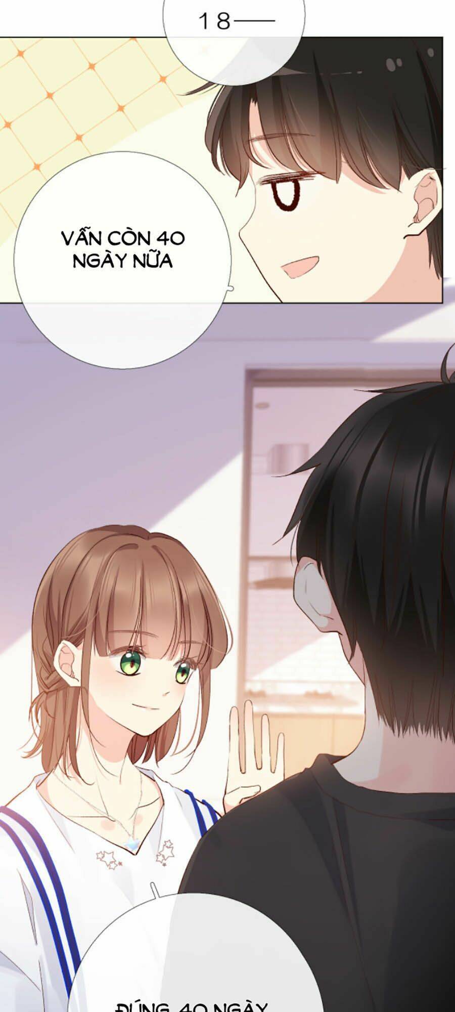 page_22.jpg