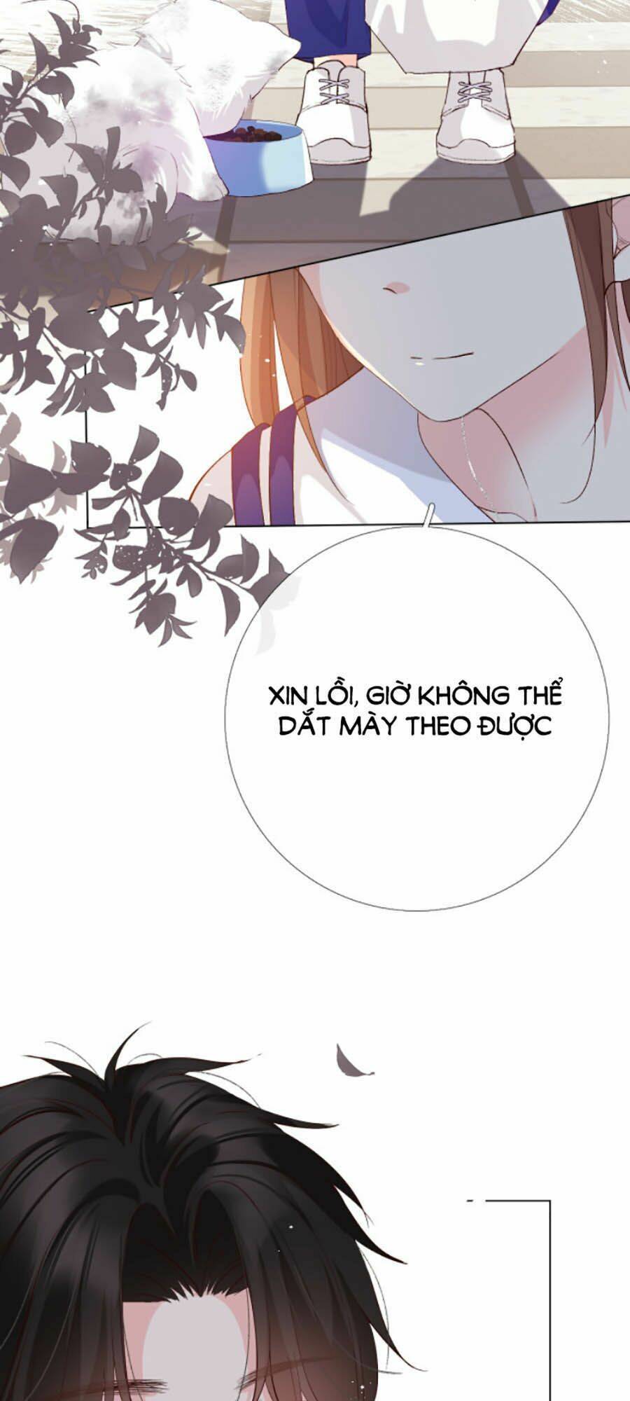 page_23.jpg