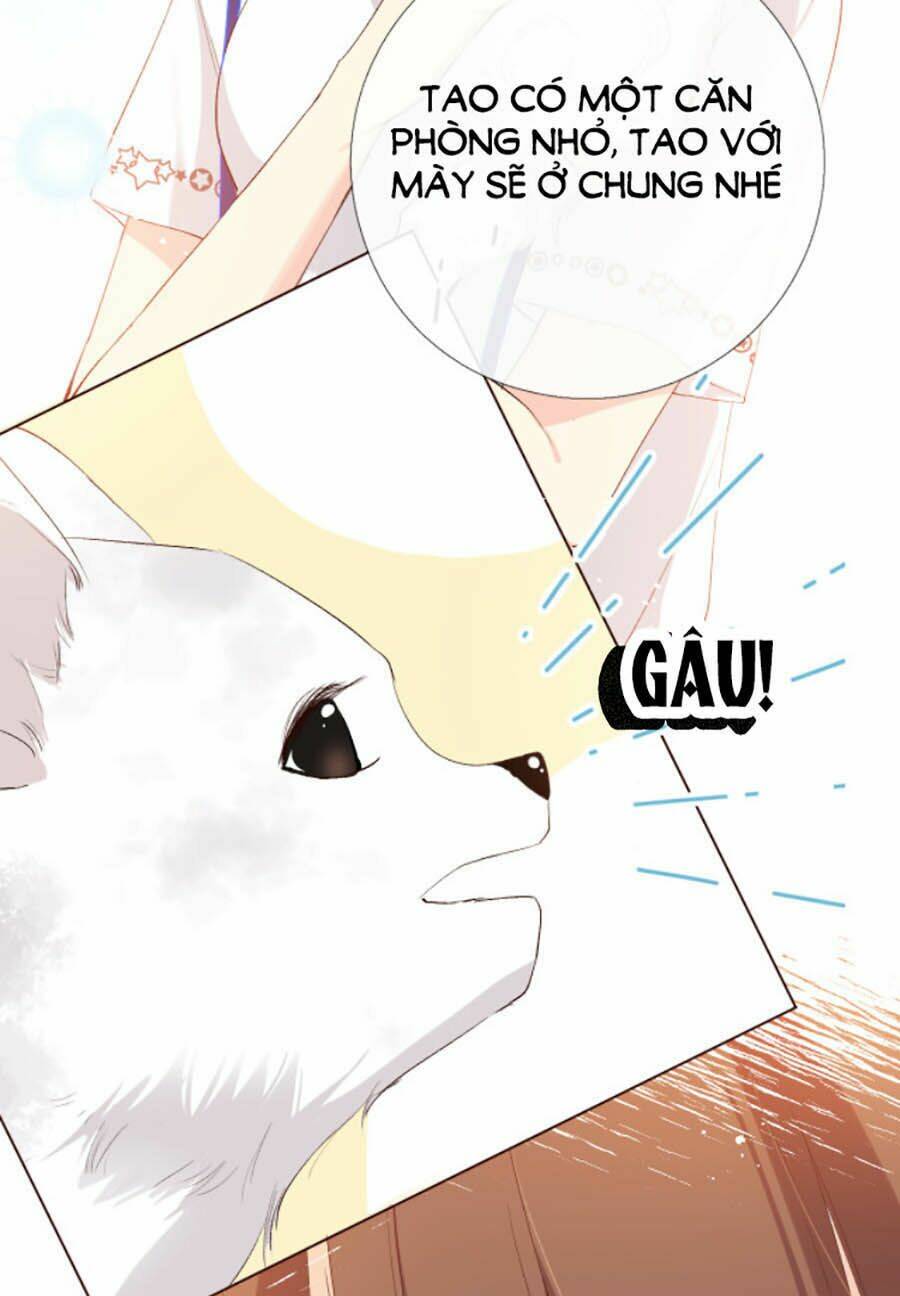 page_25.jpg
