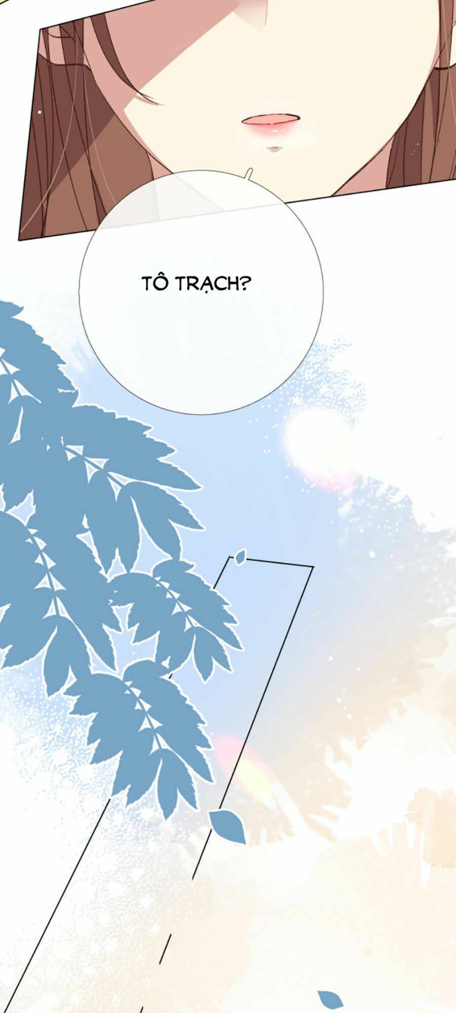 page_14.jpg