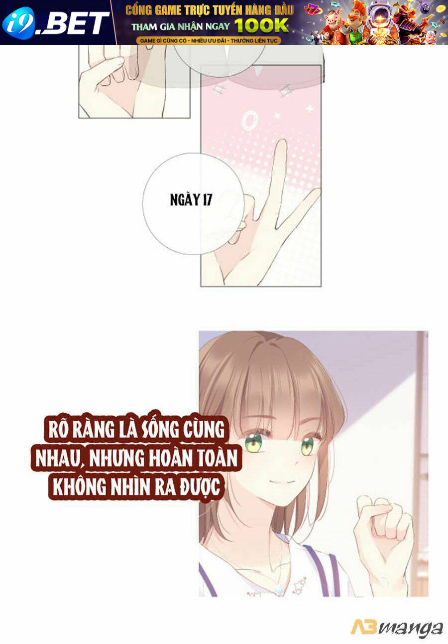 page_33.jpg