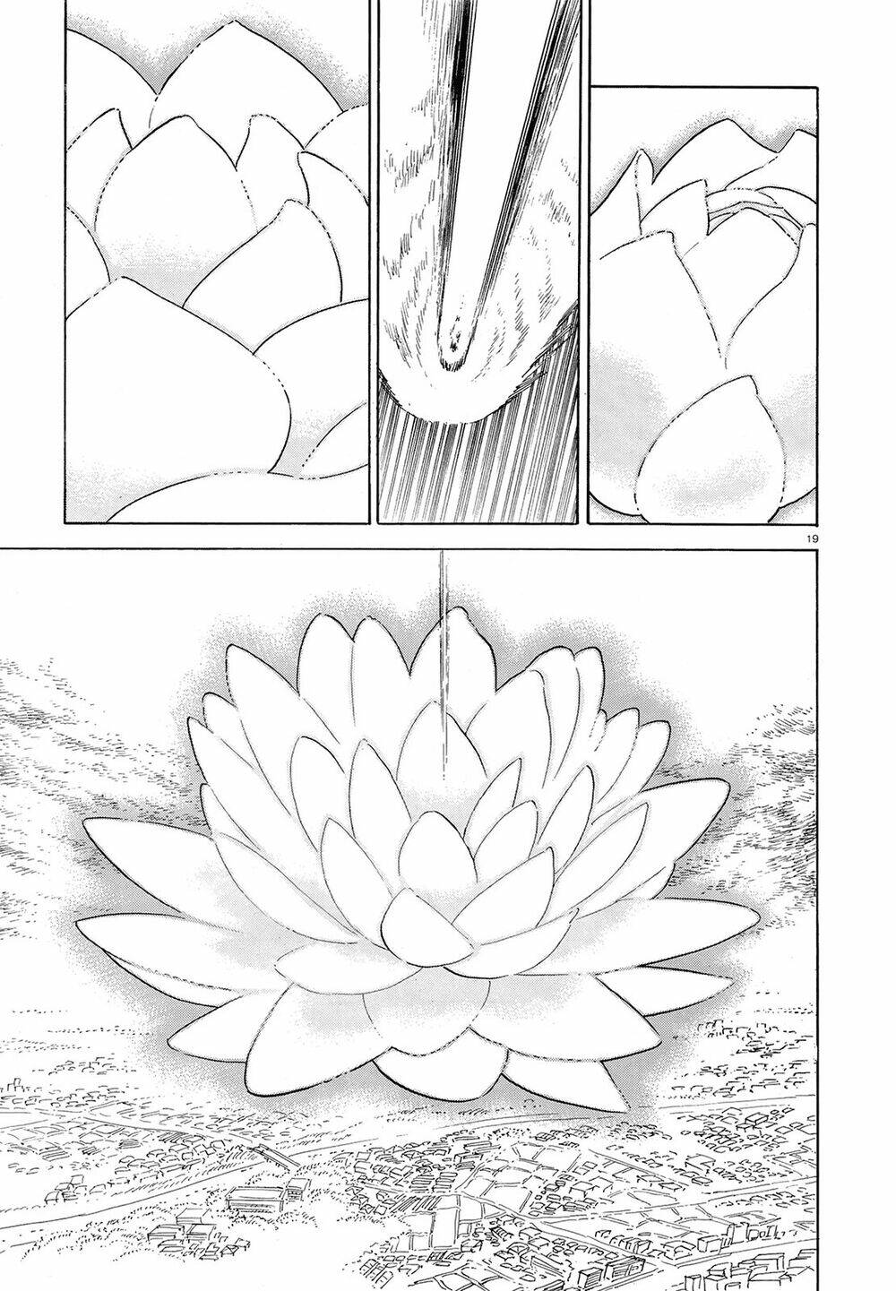 page_20.jpg