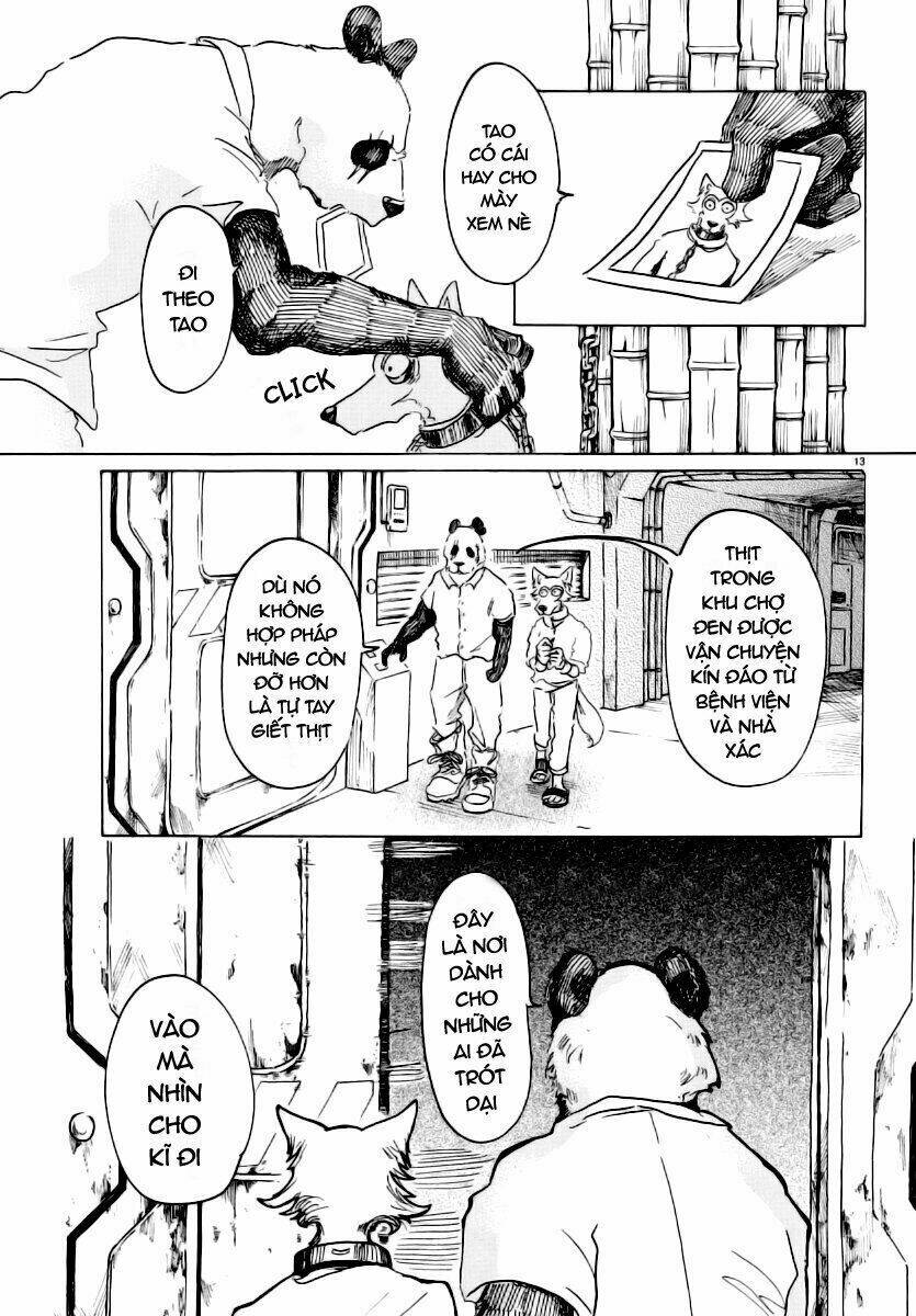 page_13.jpg