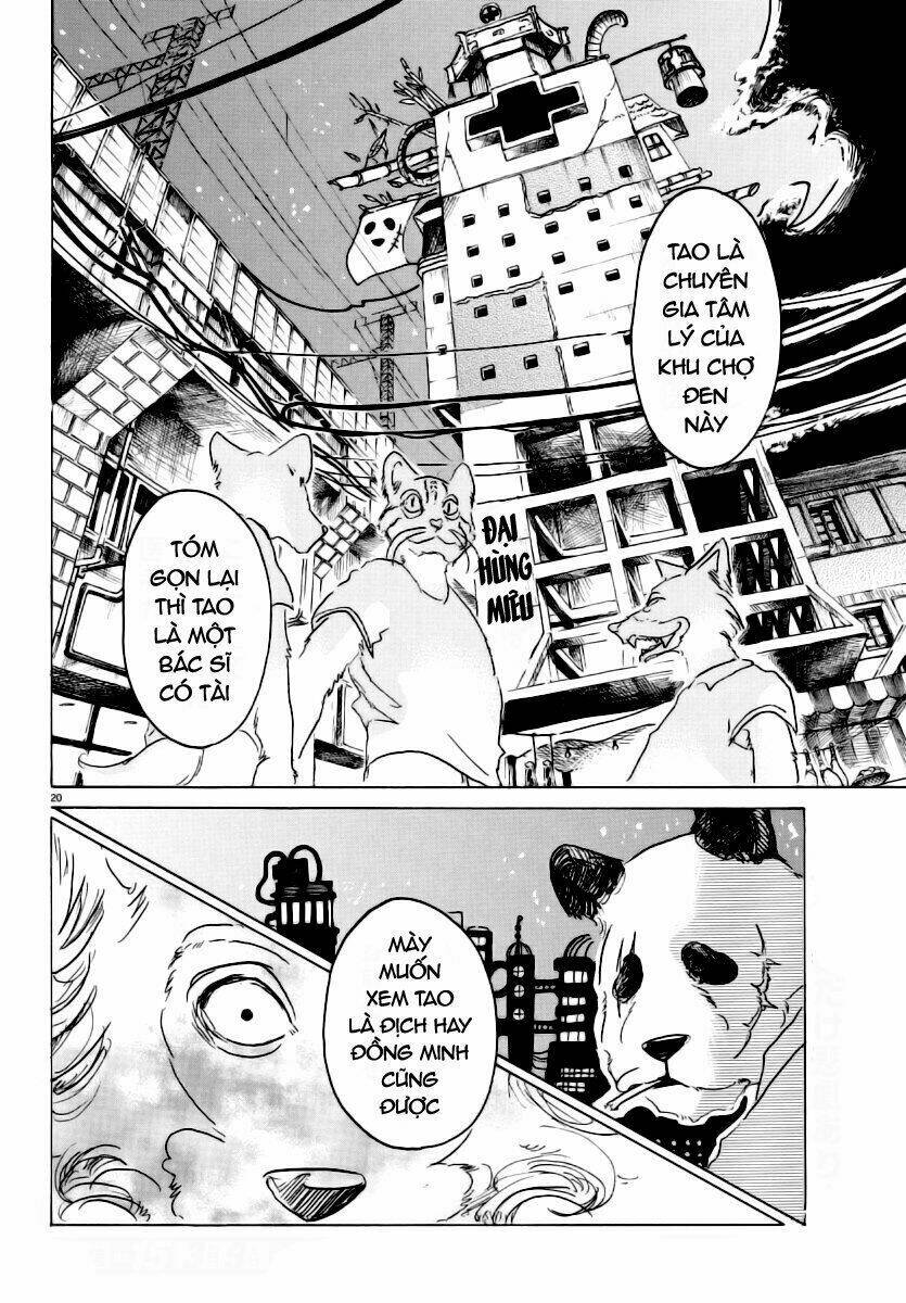 page_19.jpg