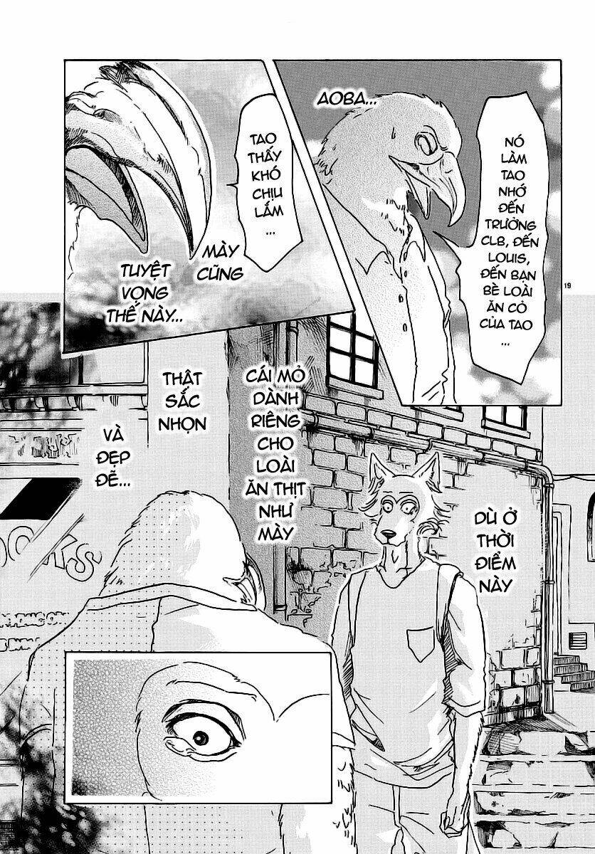 page_19.jpg