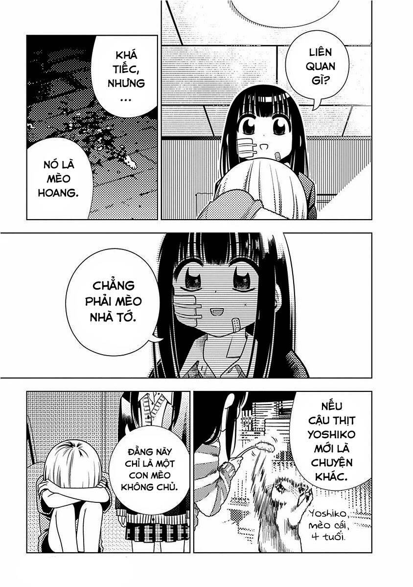page_15.jpg