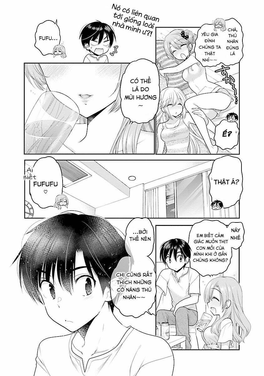 page_19.jpg