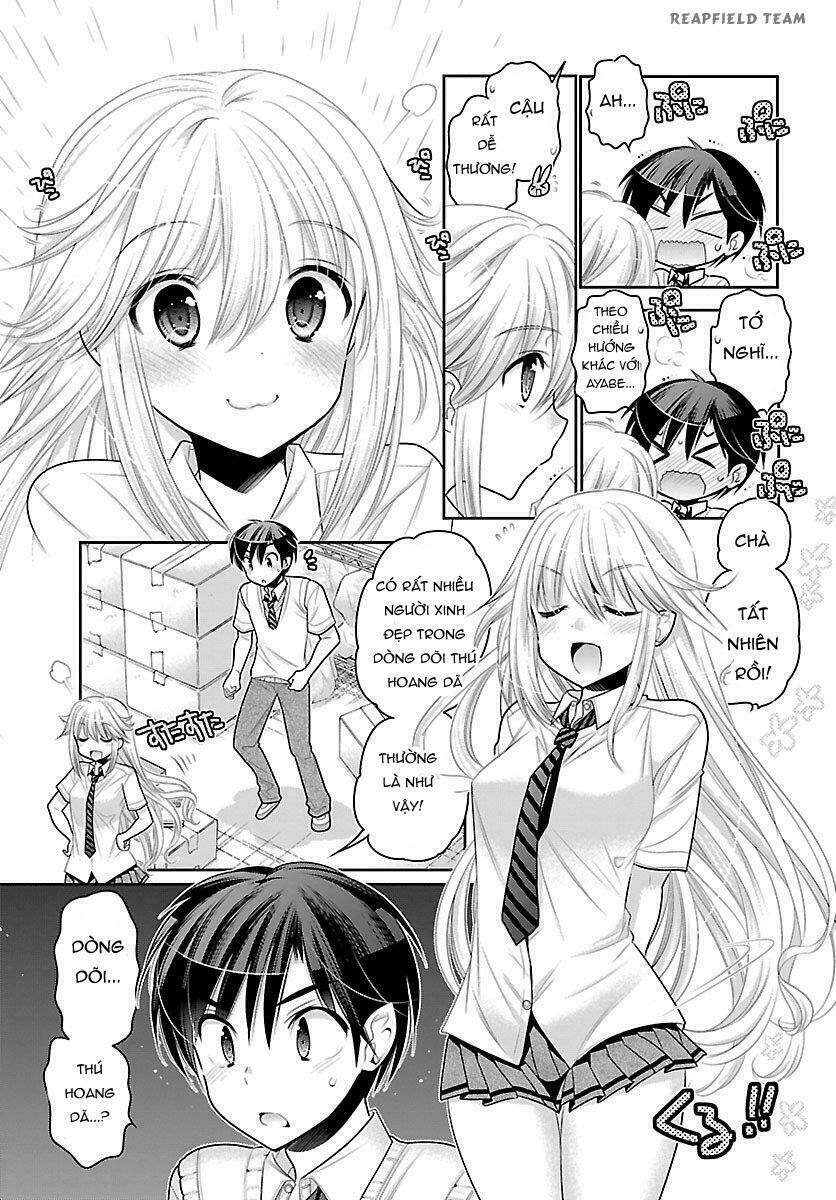 page_20.jpg