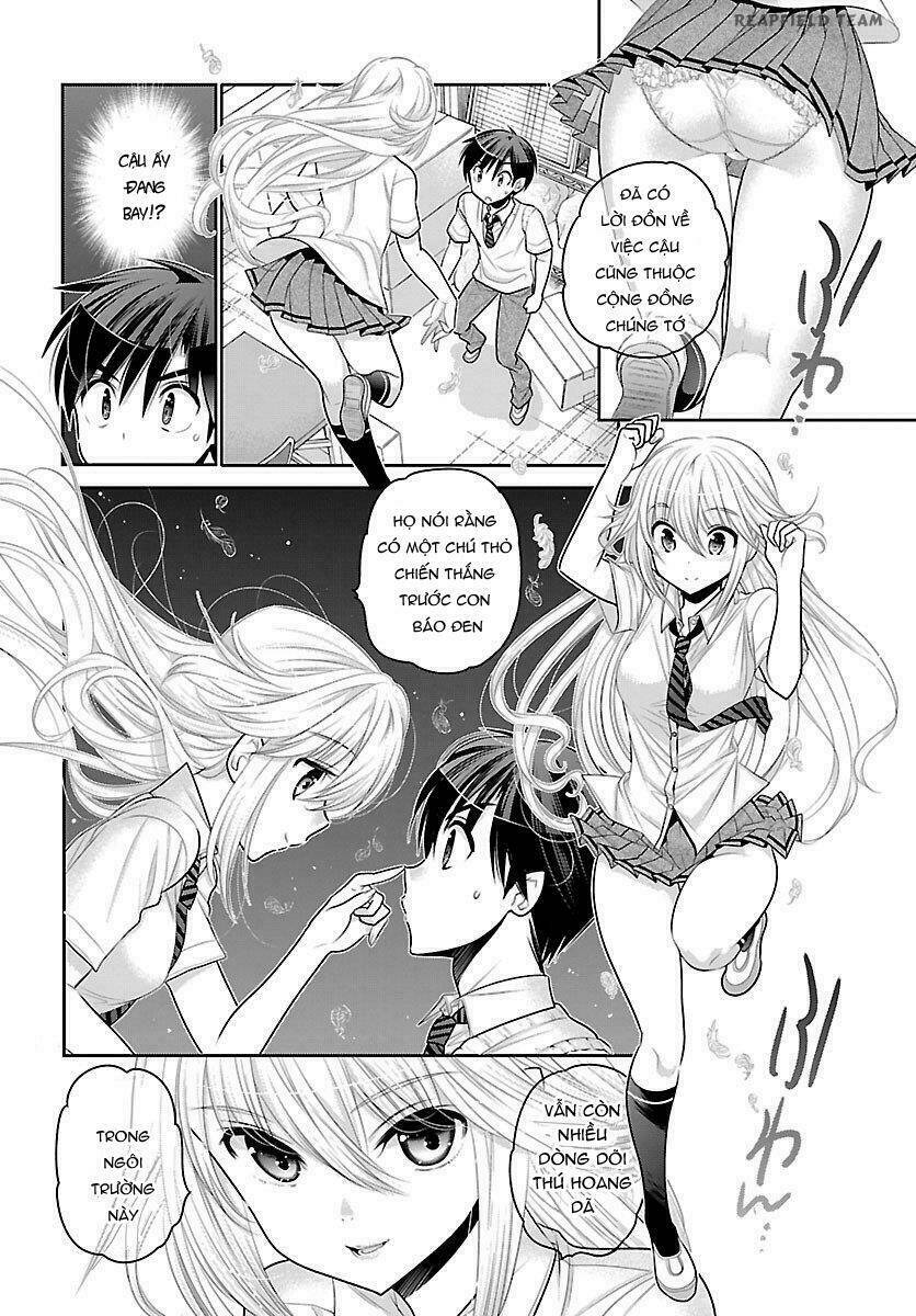 page_23.jpg
