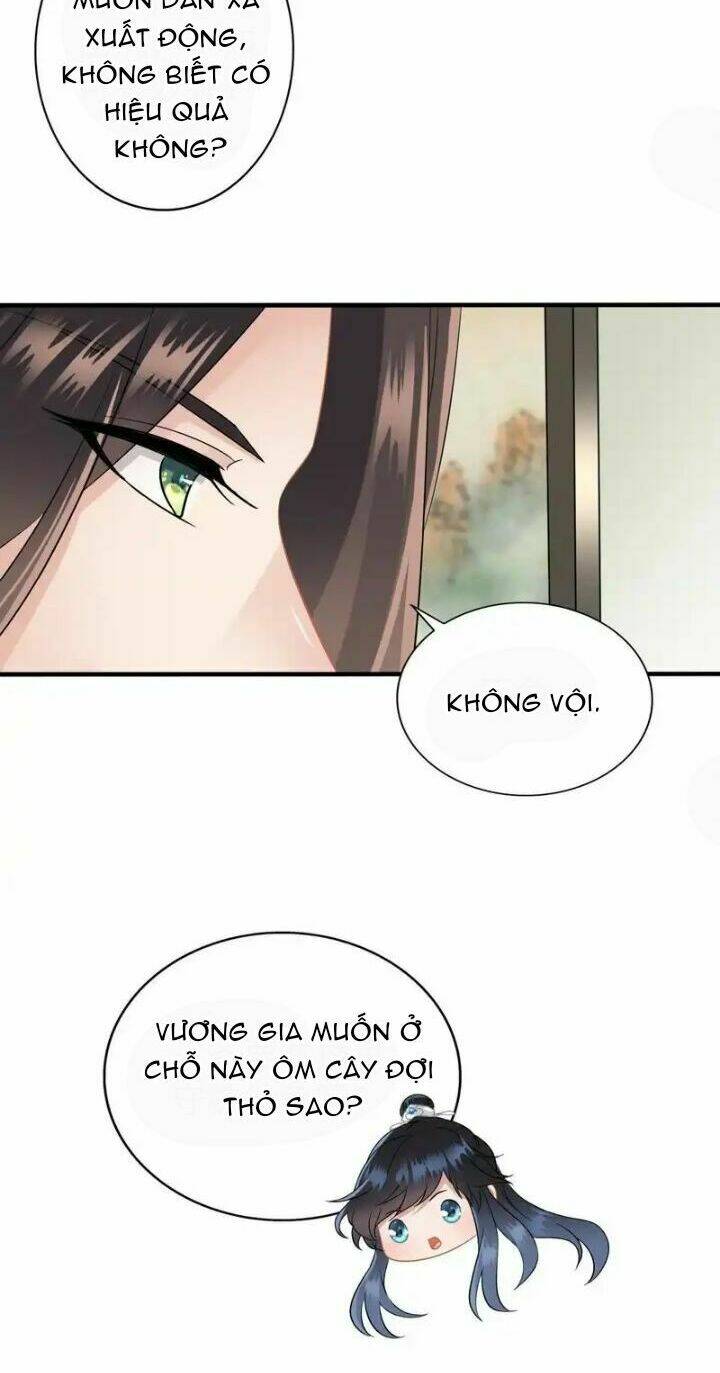 page_19.jpg