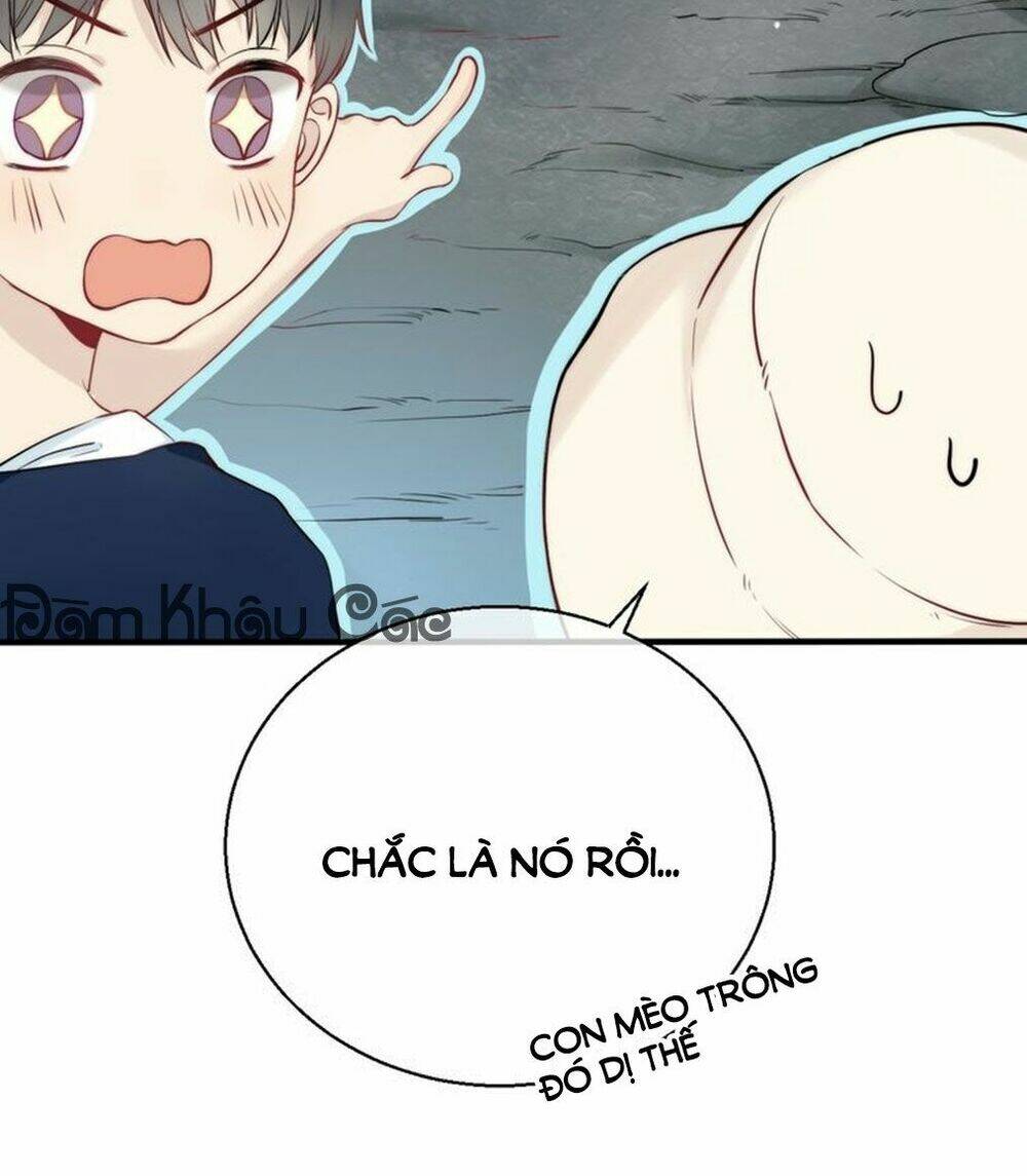 page_24.jpg