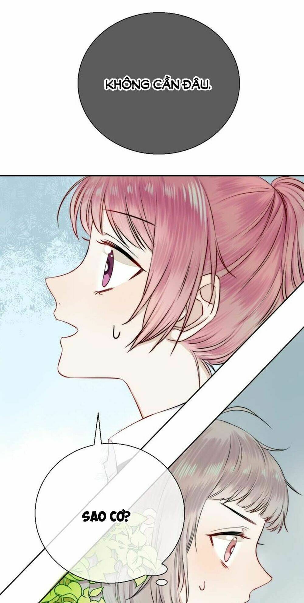 page_21.jpg