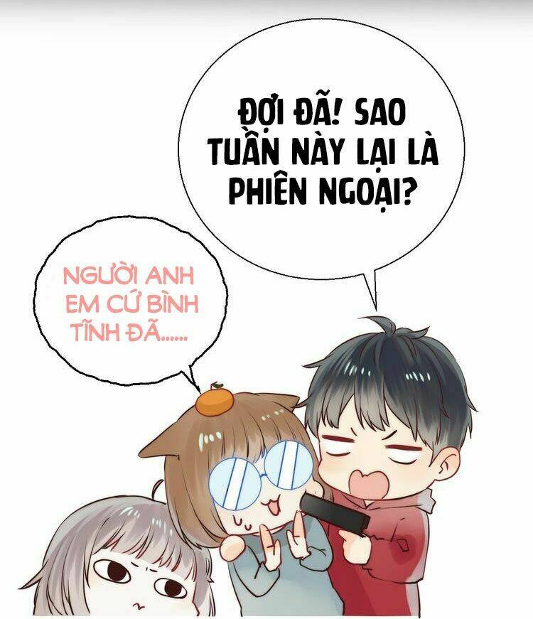 page_20.jpg