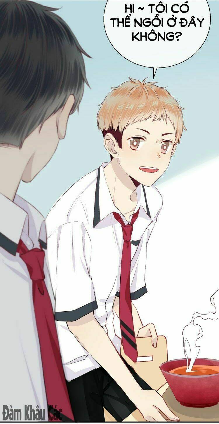 page_16.jpg