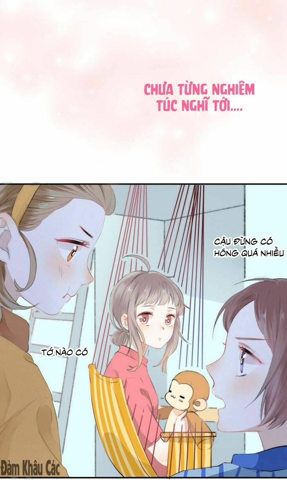page_19.jpg