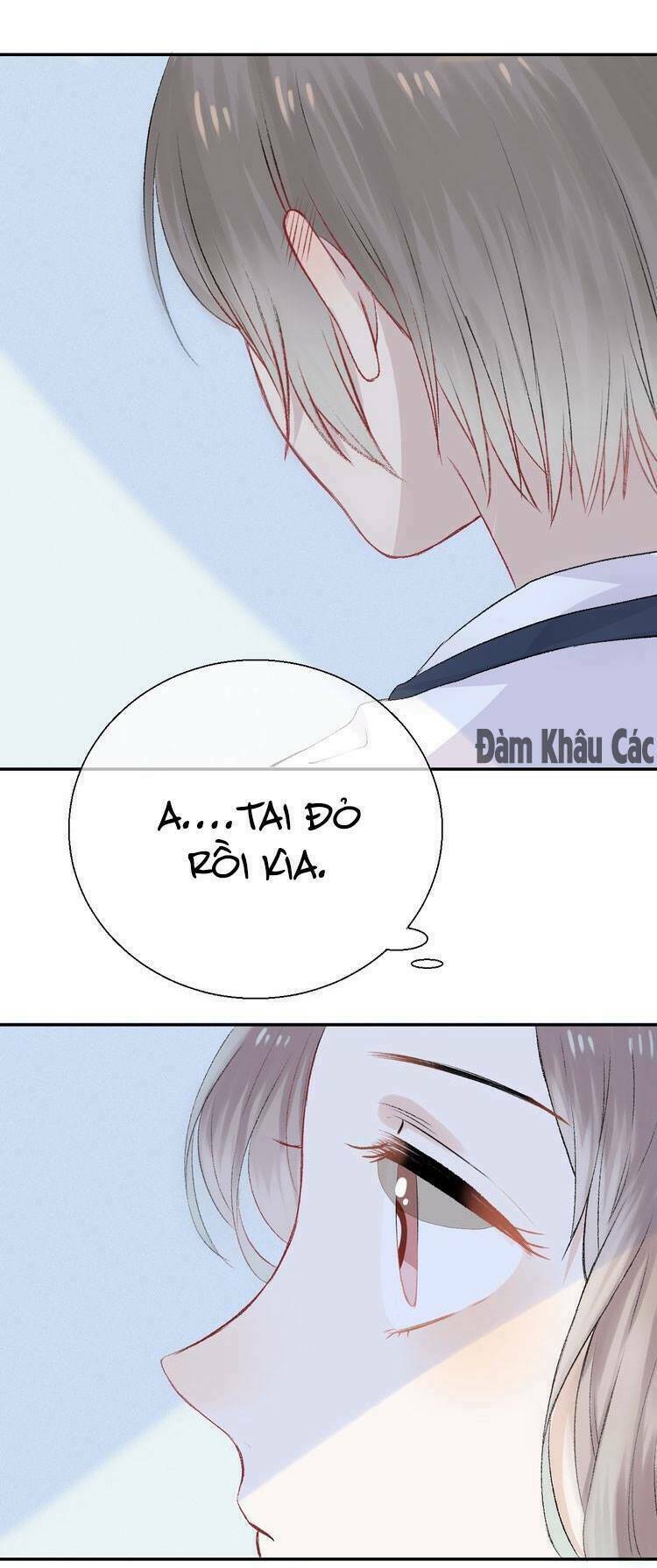 page_20.jpg