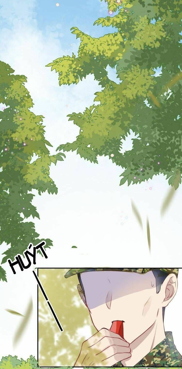page_35.jpg