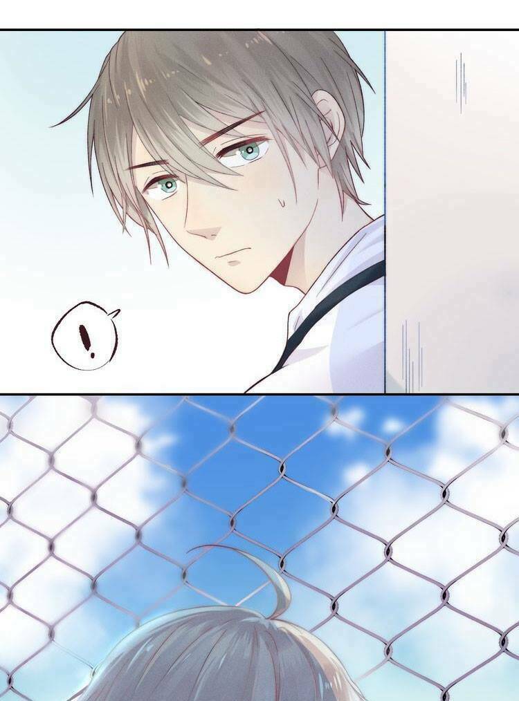 page_20.jpg