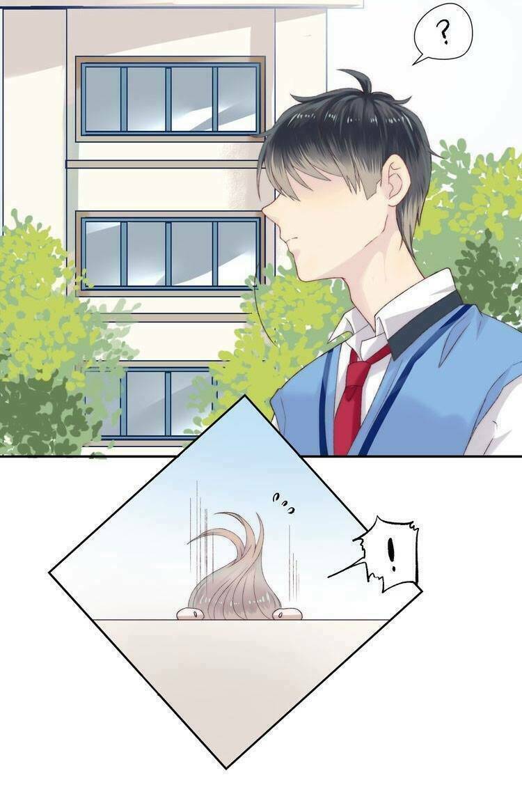 page_27.jpg