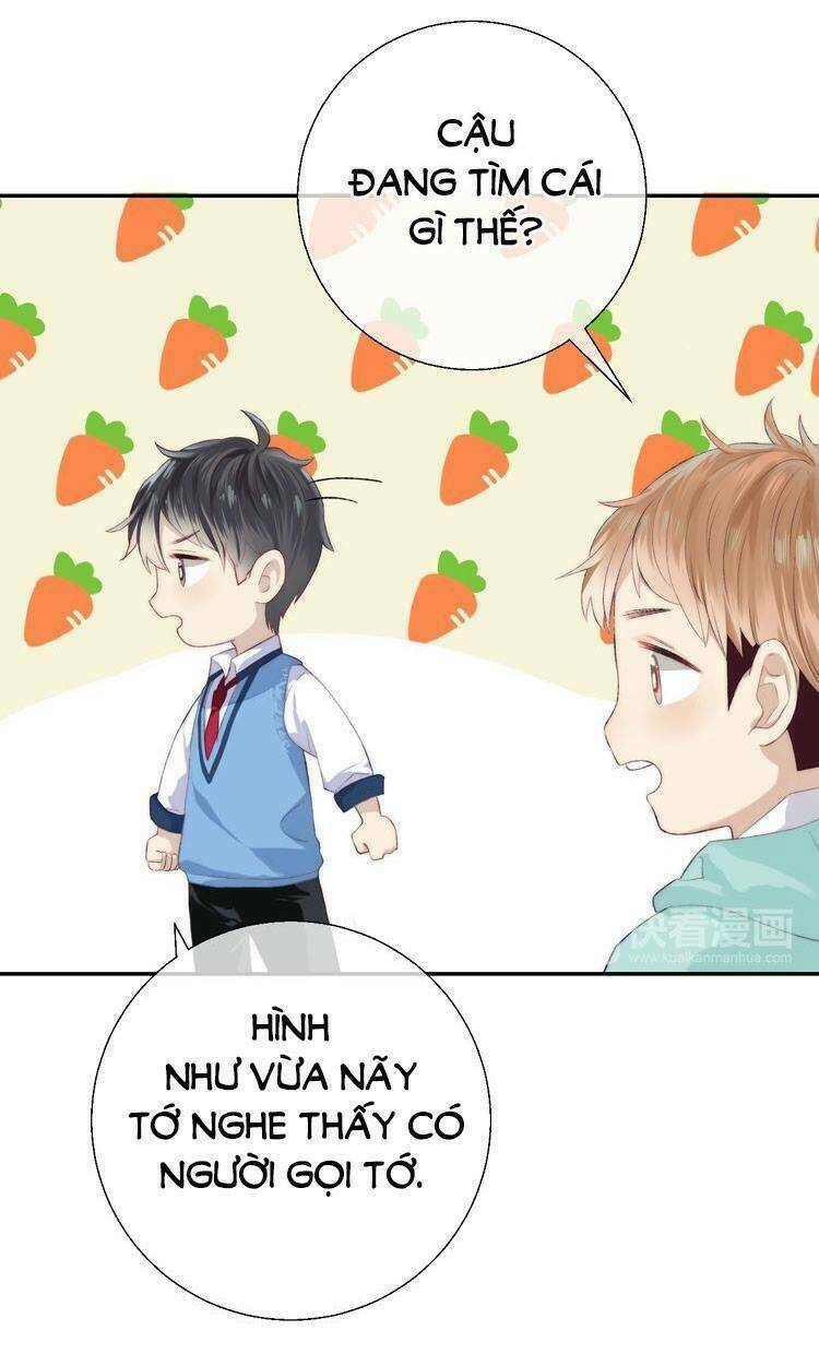 page_28.jpg