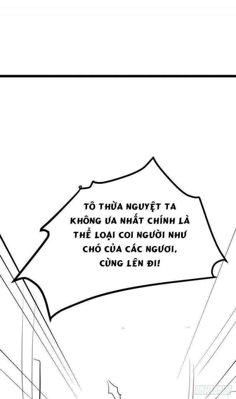 page_23.jpg