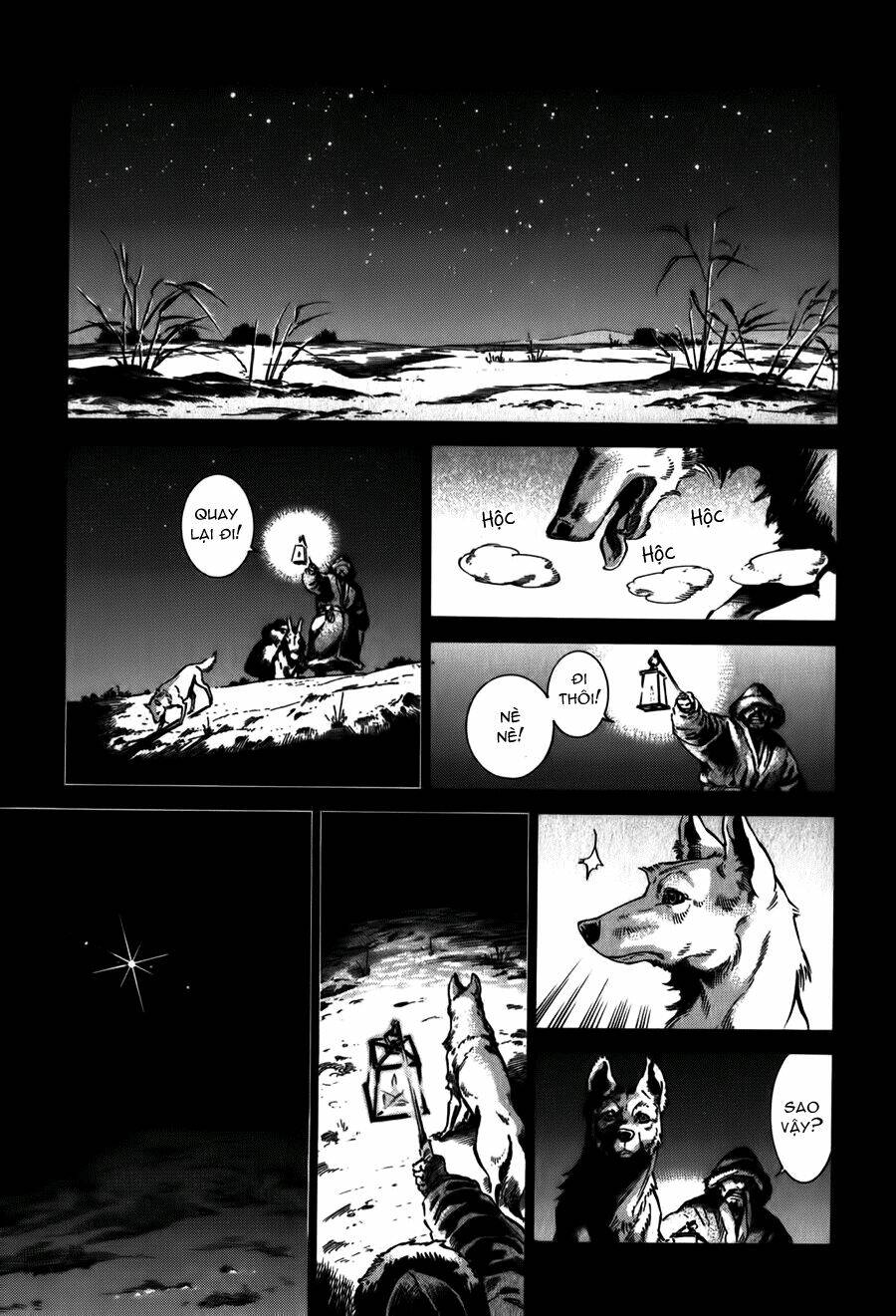 page_13.jpg