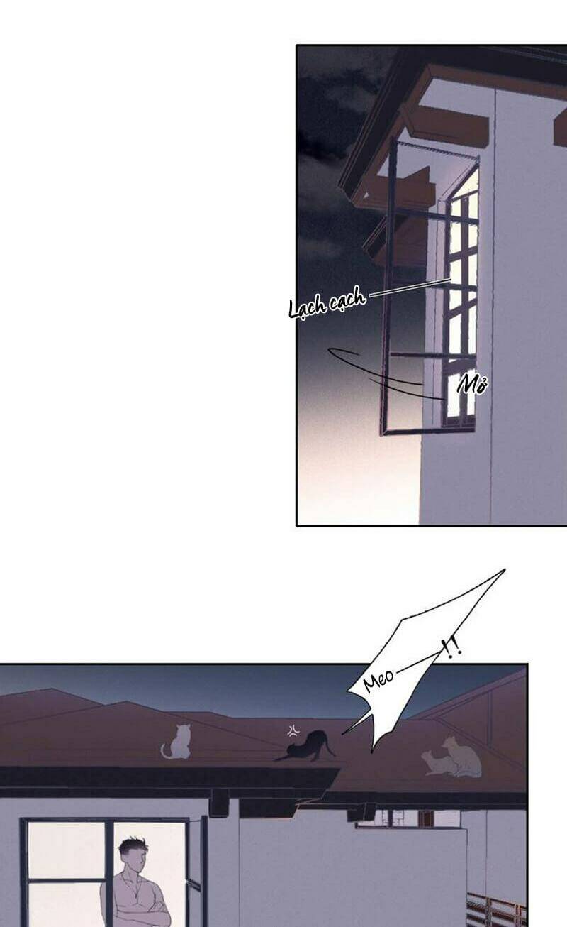 page_13.jpg
