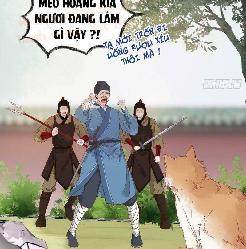page_23.jpg