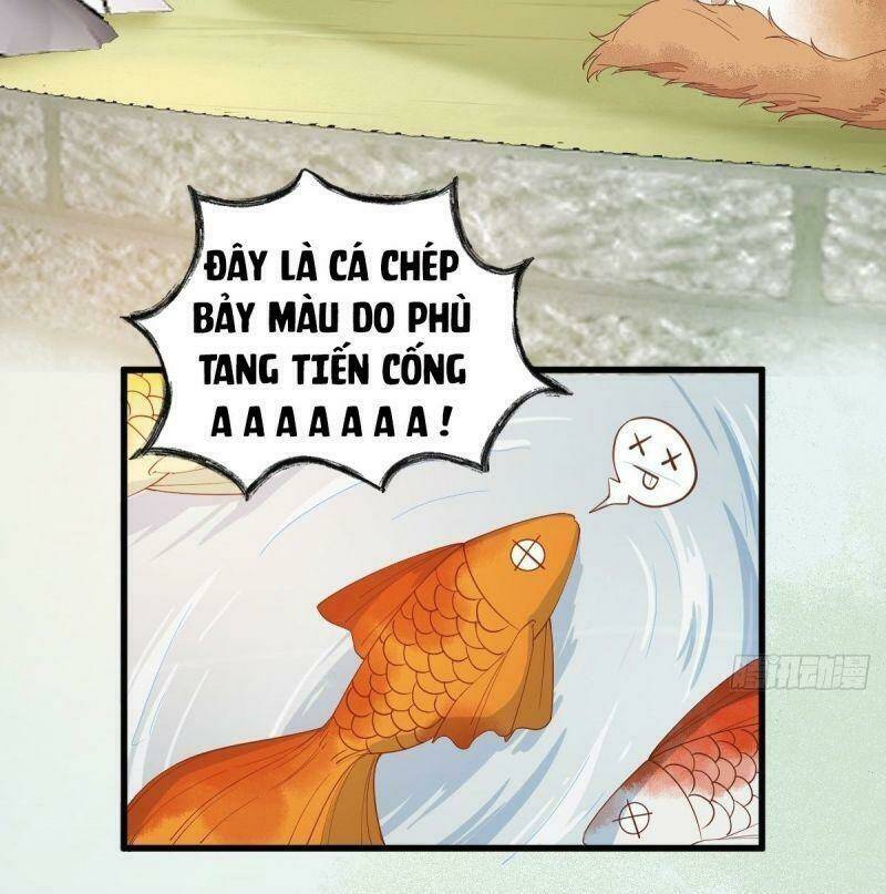 page_24.jpg
