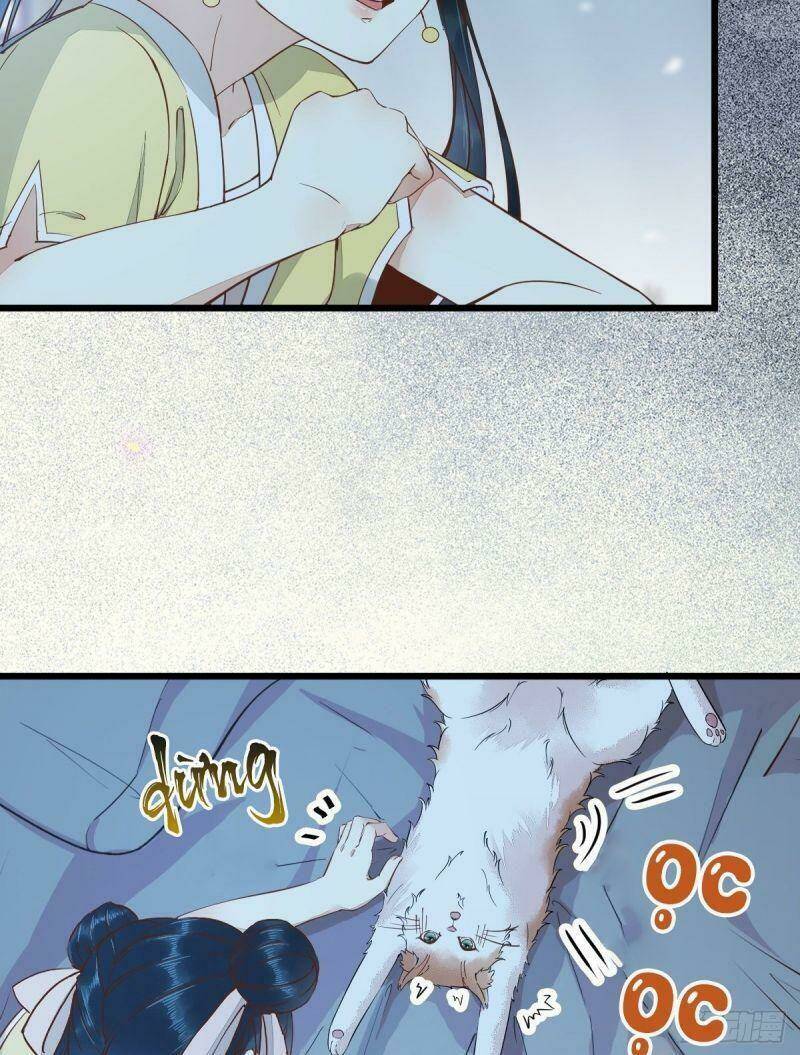 page_21.jpg