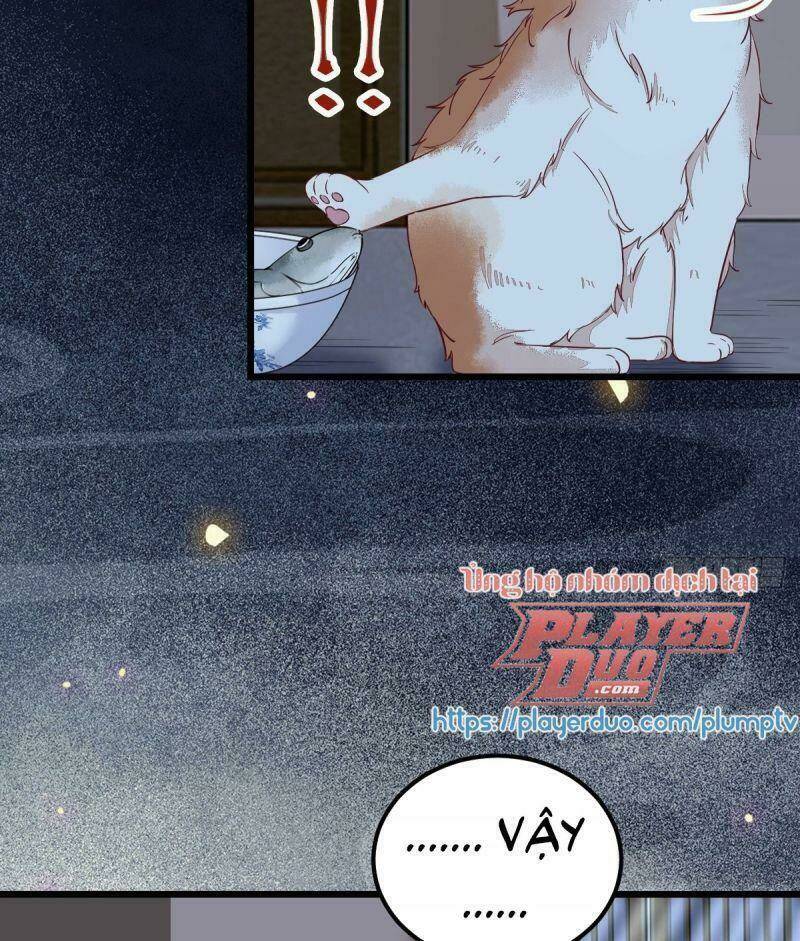page_30.jpg