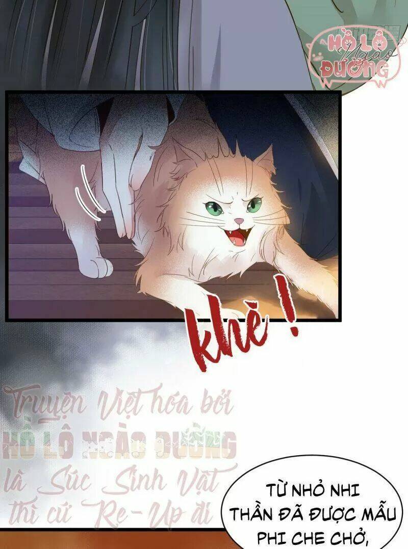 page_8.jpg