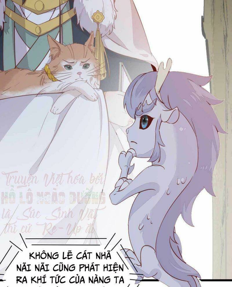 page_17.jpg
