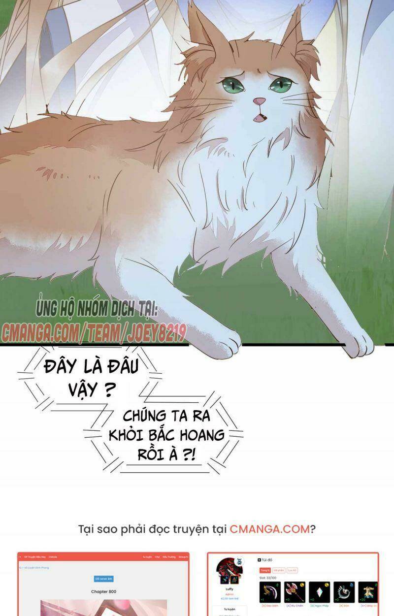 page_32.jpg
