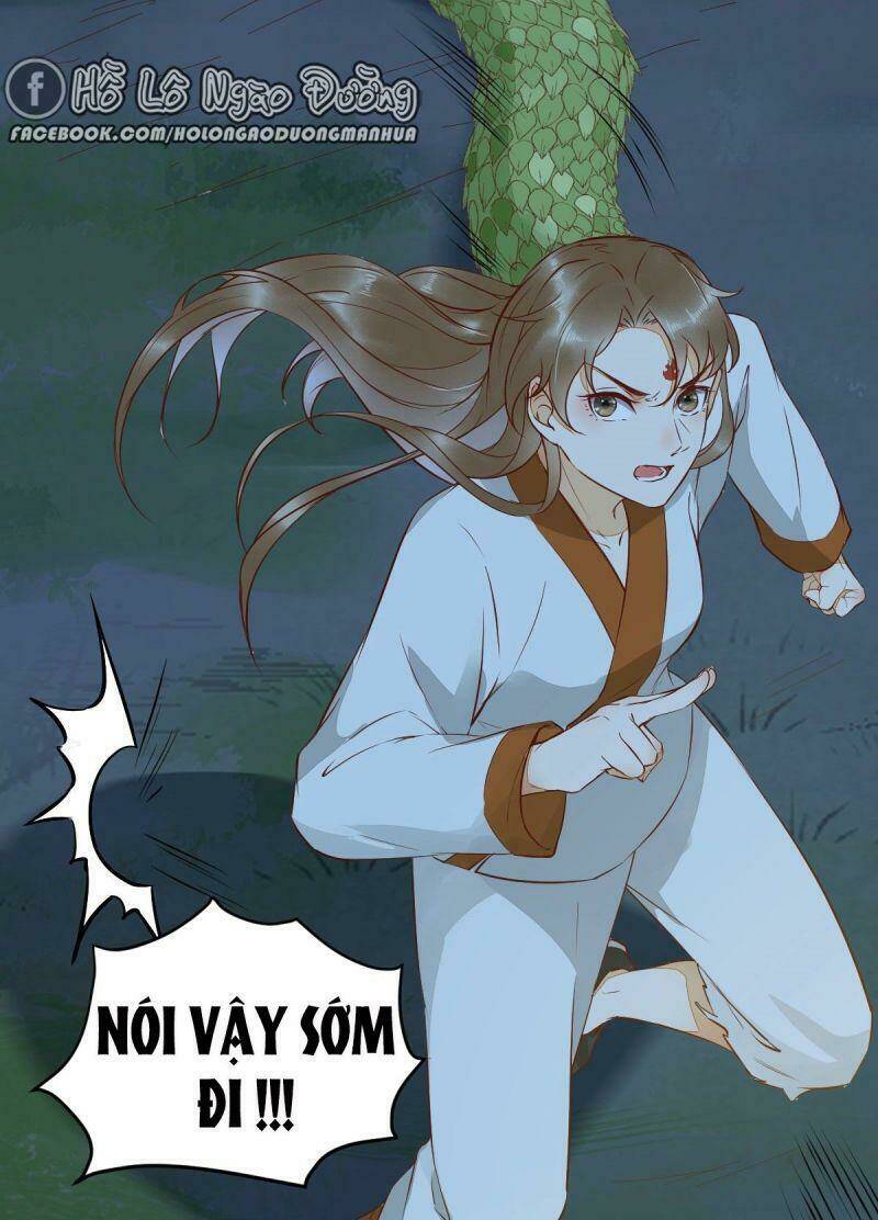 page_19.jpg