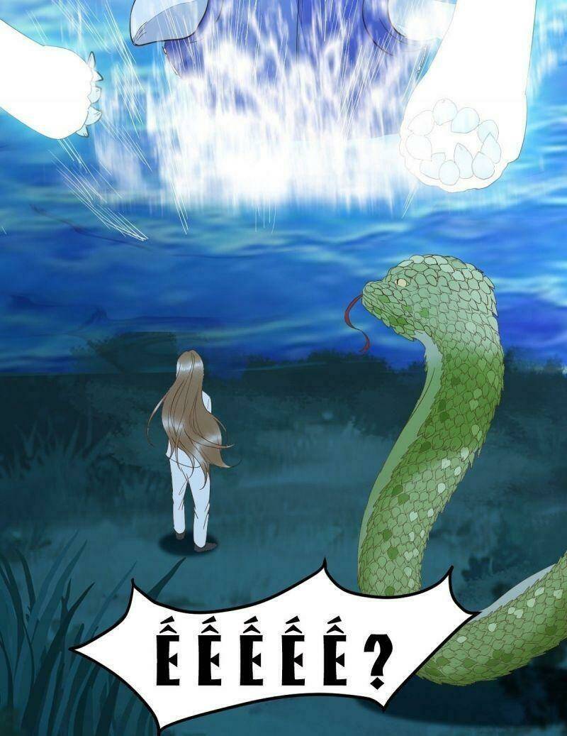 page_59.jpg
