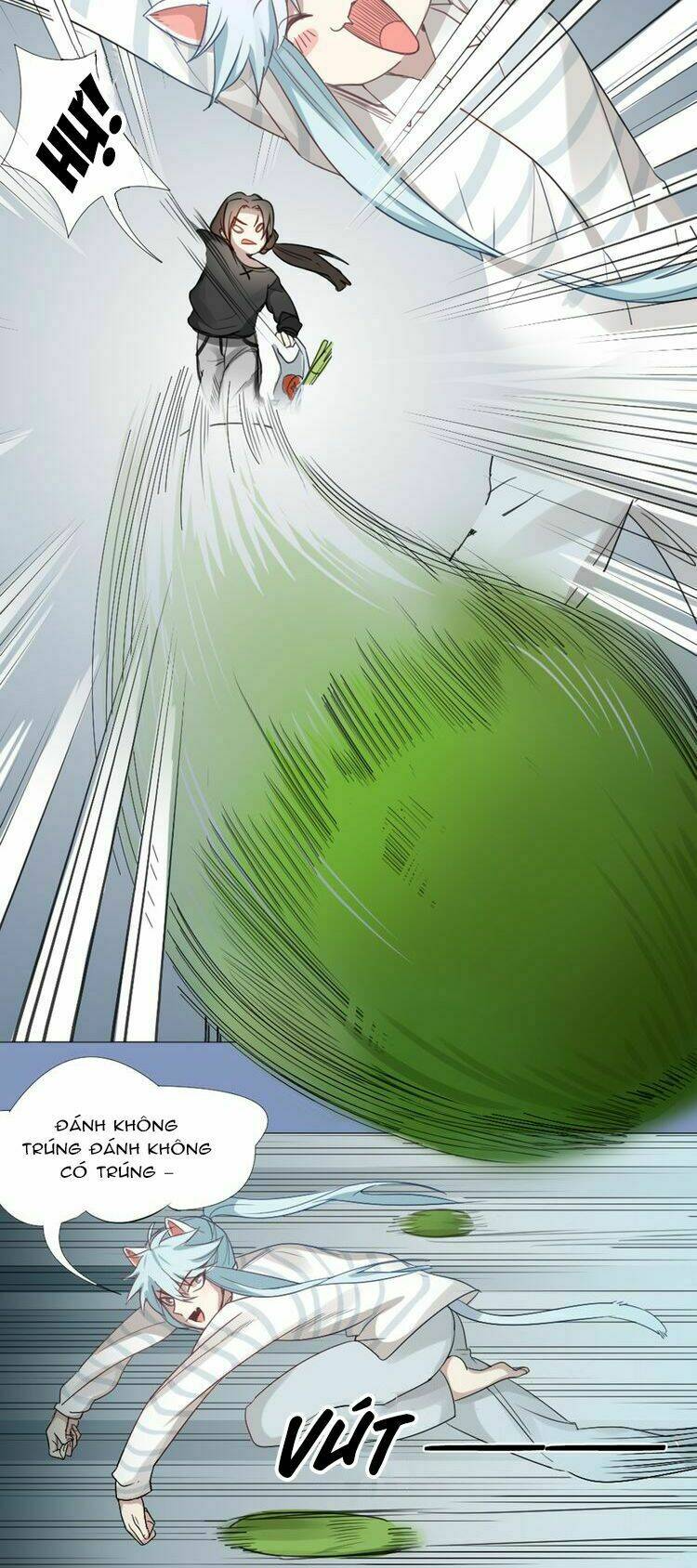 page_14.jpg