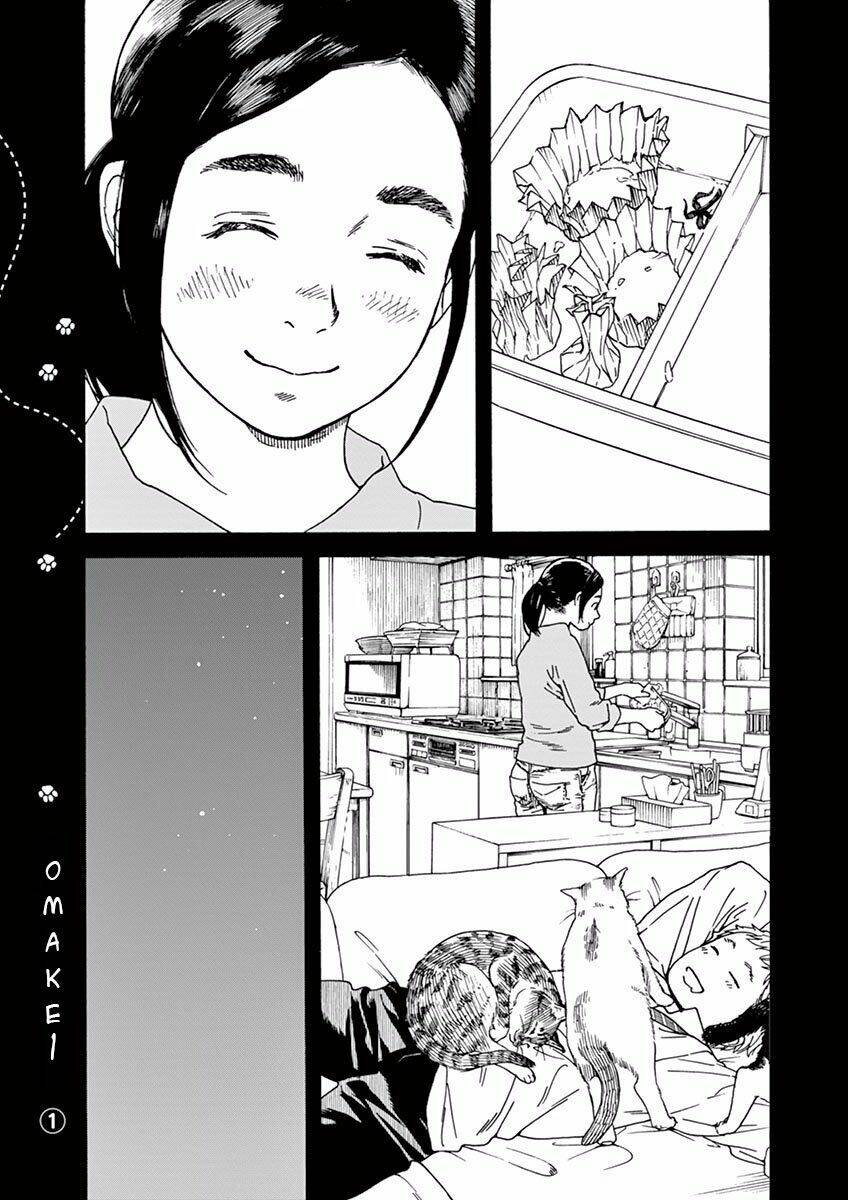 page_20.jpg