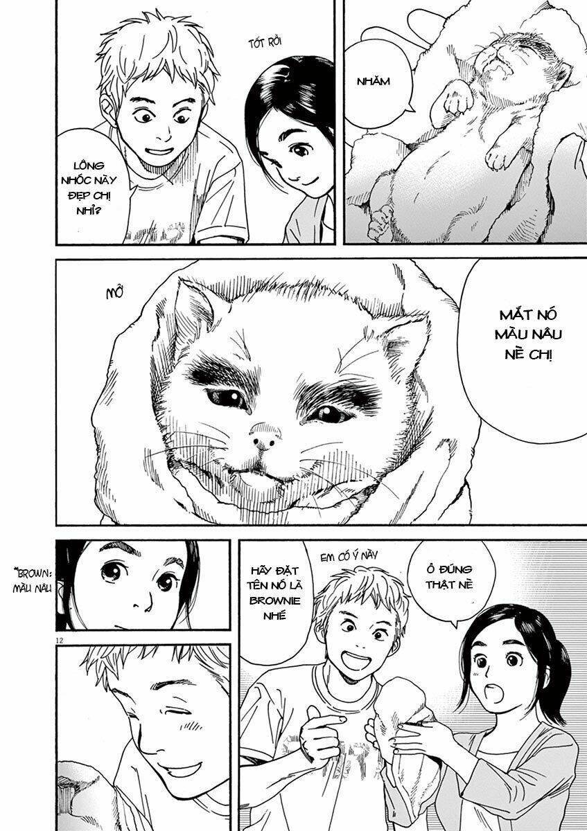 page_13.jpg