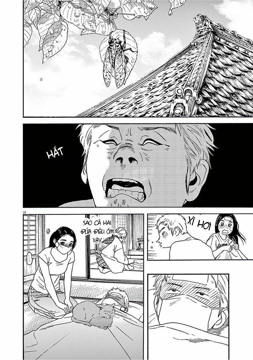 page_19.jpg