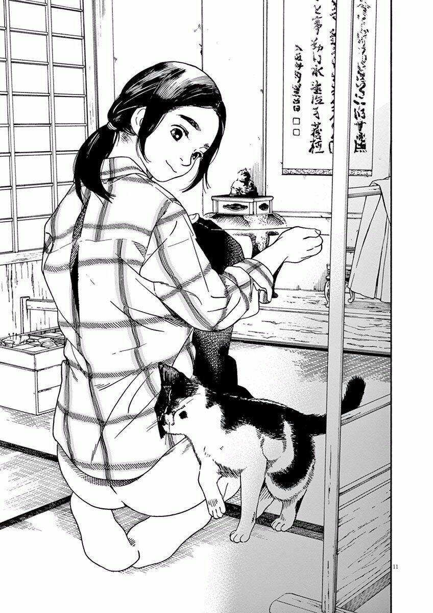 page_11.jpg