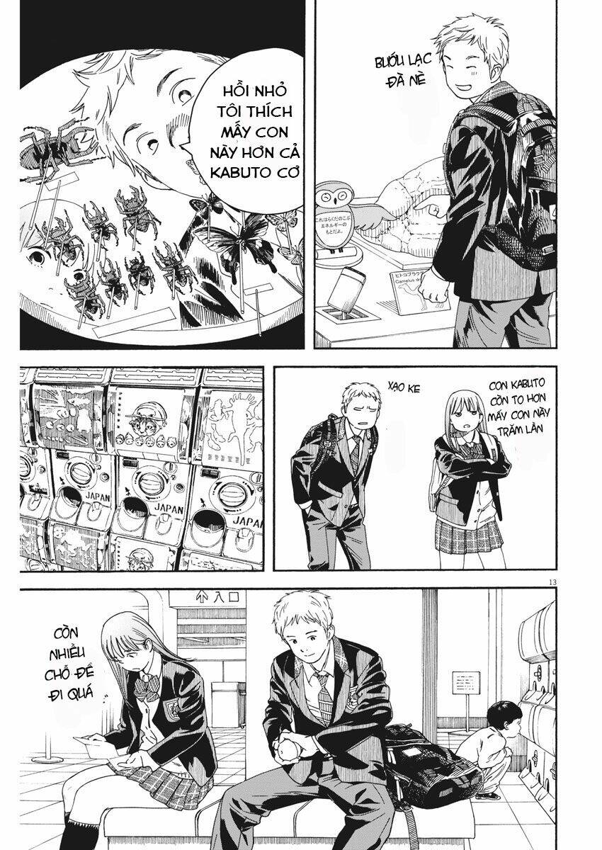 page_14.jpg