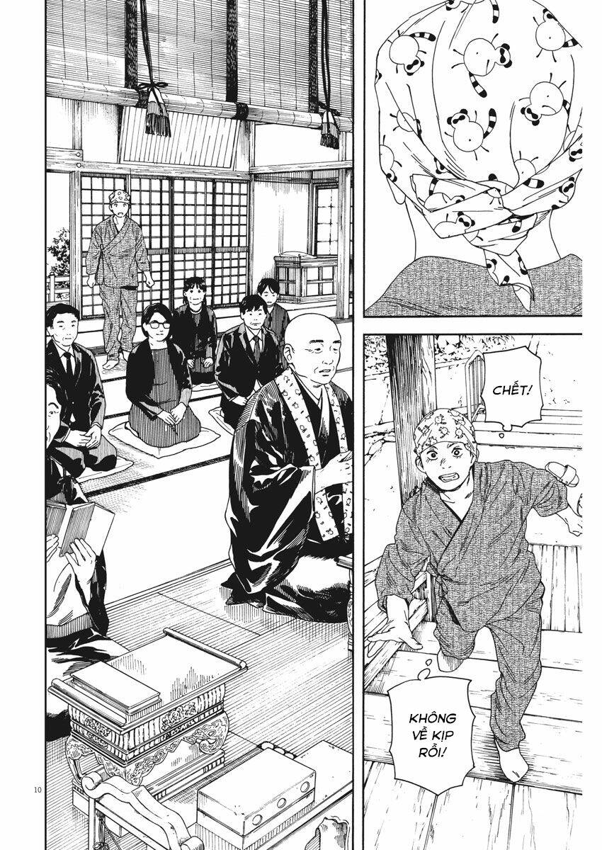 page_11.jpg