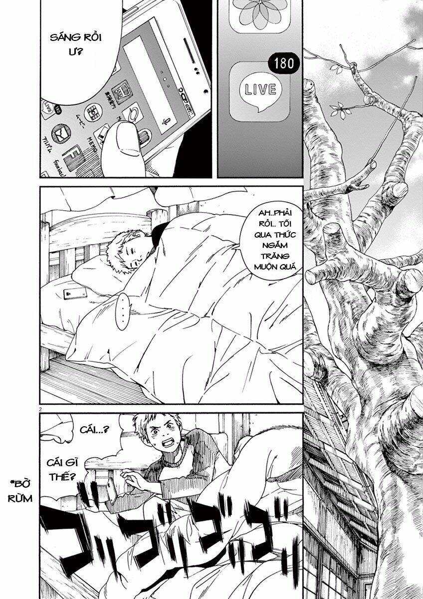 page_2.jpg