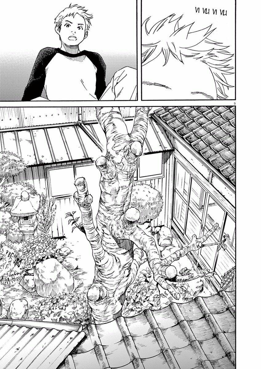 page_9.jpg
