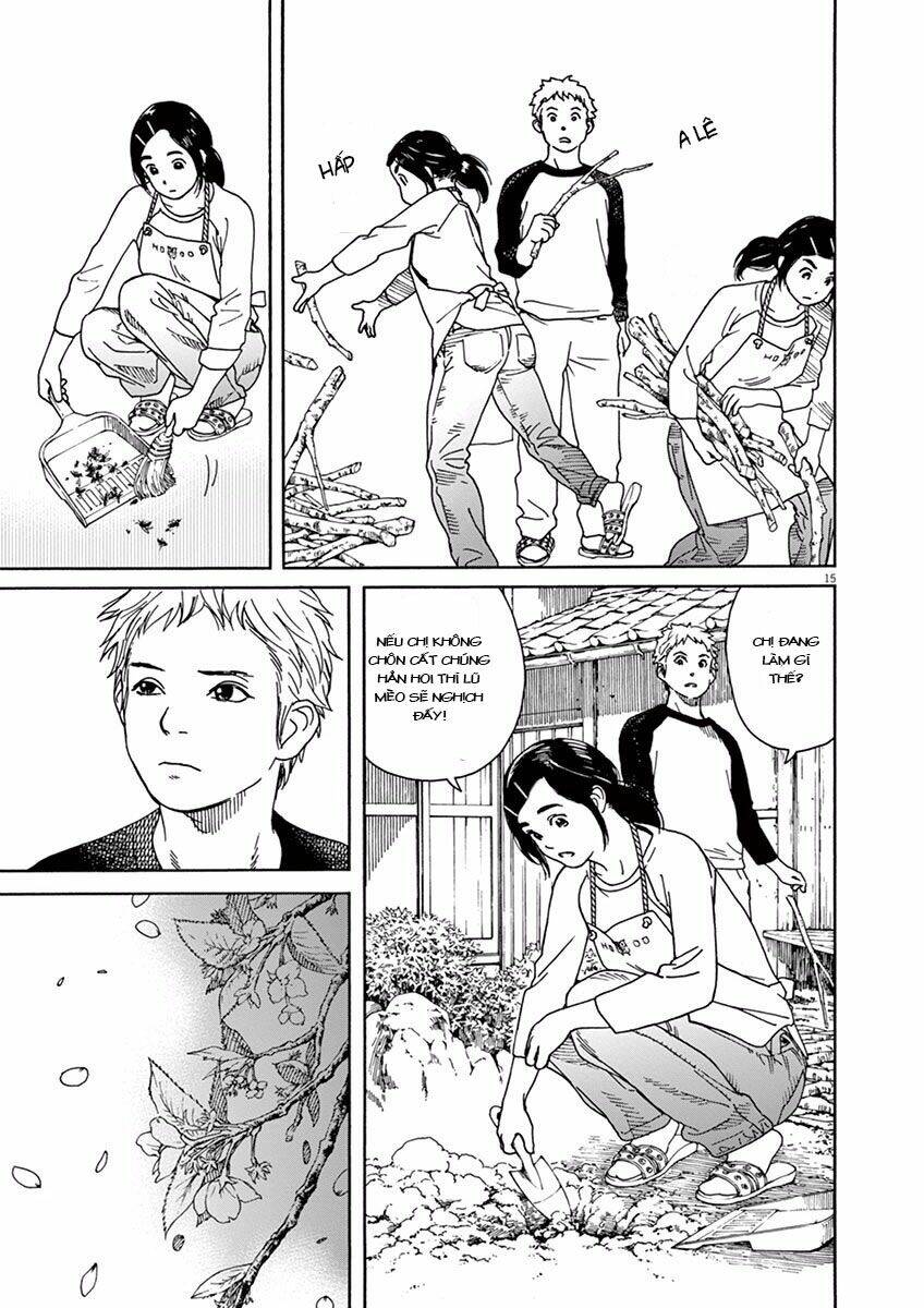 page_15.jpg